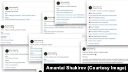 Team Insane PK Телеграм каналдын Кыргызстандагы сайттарга хакердик чабуул жасалганы тууралуу жарыялаган маалыматы