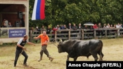 A bikák tulajdonosai megpróbálják megfékezni állataikat a harc után