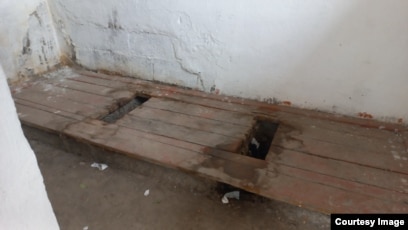 Көптеген сперматозоидтар мысықтан шығады