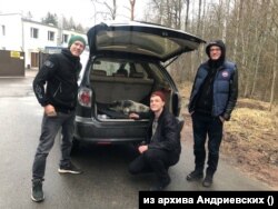 Спасенная волонтерами нерпа – теперь в приюте Андриевских