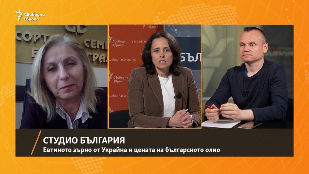 Каква е връзката между евтиното зърно от Украйна и цената на хляба и ...