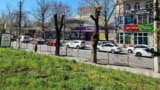 Сухие деревца в сквере у Куйбышевского рынка в Симферополе. Крым, апрель 2024 года