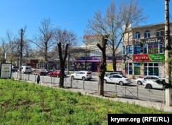 Сухие деревца в сквере у Куйбышевского рынка в Симферополе. Крым, апрель 2024 года