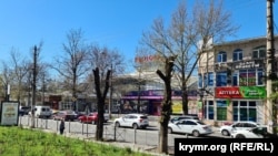 Сухие деревца в сквере у Куйбышевского рынка в Симферополе. Крым, апрель 2024 года