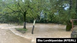 საილუსტრაციო ფოტო