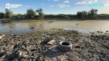 Экологическая катастрофа на западе Казахстана: почему гибнут птицы и рыба в «Тухлой Балке»? 