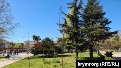 Высохшие деревца в сквере на Москольце в Симферополе. Крым, апрель 2024 года