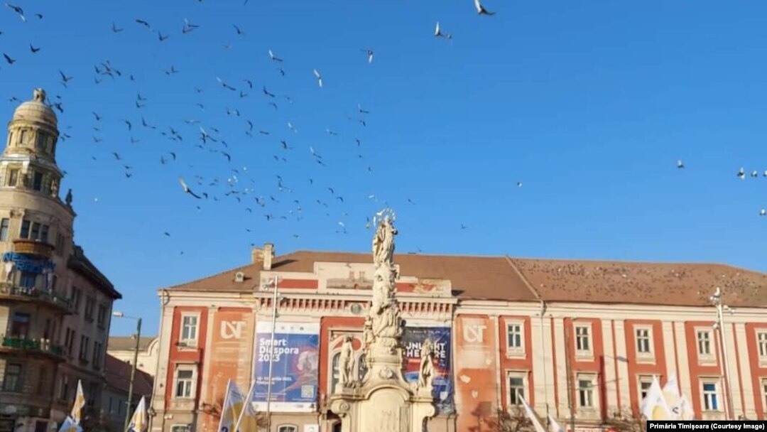 Voluntarii vor îndruma vizitatorii evenimentului de deschidere a proiectului Timișoara Capitală Culturală a Europei în turul de cunoaștere a orașului 