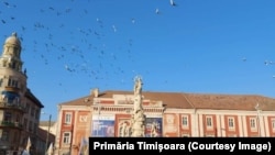 Voluntarii vor îndruma vizitatorii evenimentului de deschidere a proiectului Timișoara Capitală Culturală a Europei în turul de cunoaștere a orașului 
