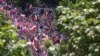 Антиправителствено шествие във Варшава, водено от лидера на центристката опозиционна партия "Гражданската коалиция" - Доналд Туск, който обвини правителството, че подкопава демокрацията.