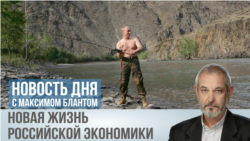 Цыганская лошадь