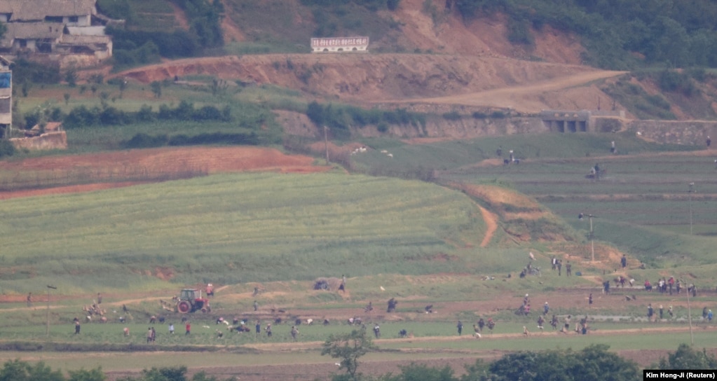 Verikoreanët duke punuar në një fushë orizi në fshatin Kaepoong, në këtë foto të marrë nga Platforma e Vëzhgimit të Përbashkët, pranë zonës së demilitarizuar që ndan dy Koretë në Paju, Koreja e Jugut, 31 maj 2023.