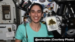 یکی از عکس‌هایی که یاسمین مقبلی از قورمه‌سبزی در فضا منتشر کرده است