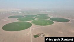 مزارع کشاورزی امارات متحده عربی در دل بیابان برای تامین مواد غذایی این کشور