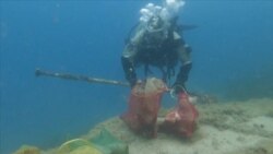 Mljet, prirodna brana za morski otpad