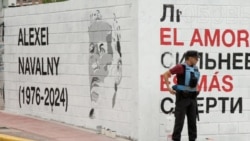 Navalny Mural In Argentina Prompts Confrontation With Police