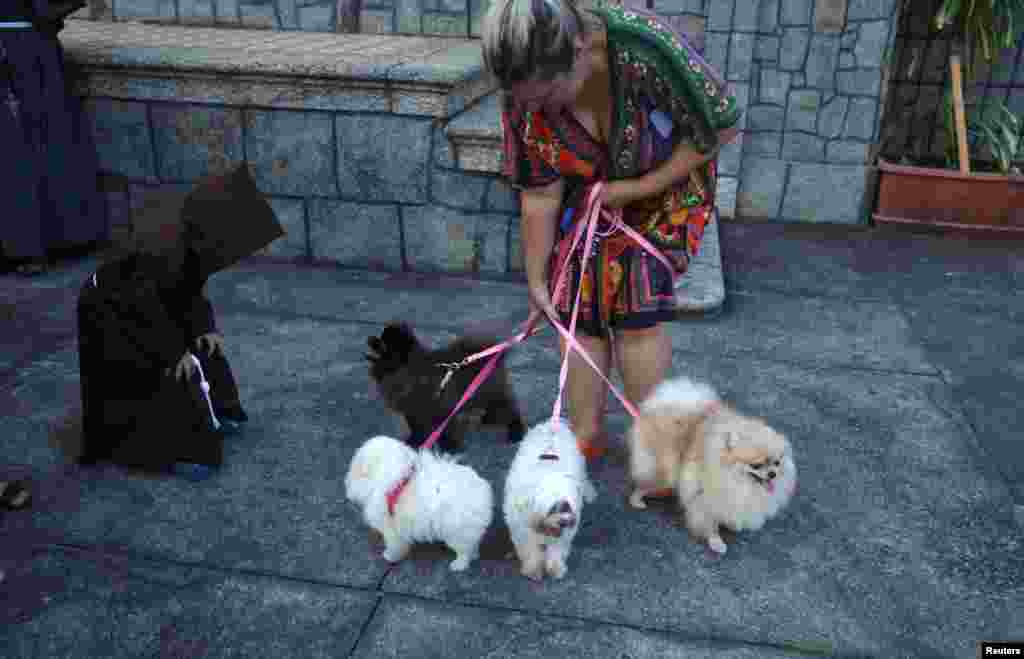 Dijete u ogrtaču, poput svetog Franje Asiškog, gleda pse koji čekaju na blagoslov tokom proslave Svetog Franje Asiškog u crkvi u Rio de Janeiru, Brazil, 4. oktobra.