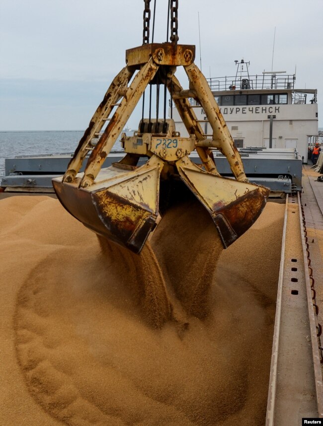 Пшеницю завантажують на судно в окупованому Маріуполі перед його відправленням до російського міста Ростов-на-Дону, 25 жовтня 2023 року