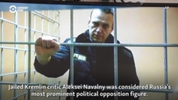 Video Profile: A Look Back At Aleksei Navalny's Biggest Battles
