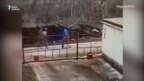 Поймали не того