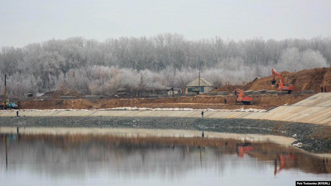 Бейне бұталарды аралау