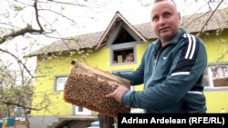 Apicultorul Sorin Preda are 200 de stupi și spune că a rămas cu 4 tone de miere ecologică de salcâm pe stoc.