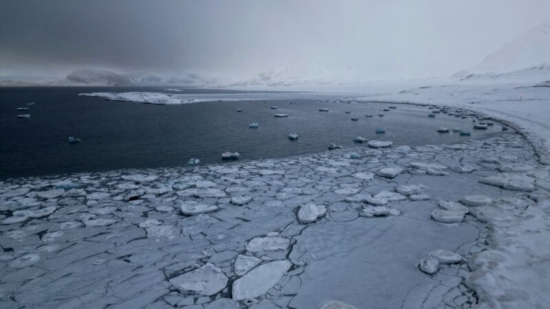2023-nji ýylda Arktikada iň yssy tomus hasaba alyndy – ABŞ agentligi