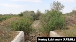 Суу жок кургаган канал. Иллюстрациялык сүрөт.