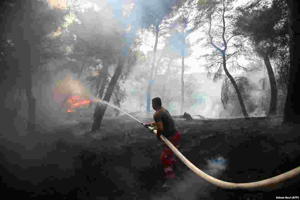 Një zjarrfikës duke luftuar me flakët në Qarkun e Fierit.
