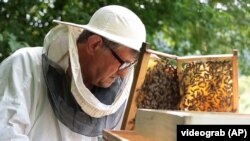 Bh. pčelari u problemima zbog klimatskih promjena