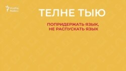 30 секунд на татарский: телне тыю