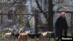 Бахмутка жакын жердеги кыштактардын бири. Кароосуз калган иттерди ээрчитип бараткан аял. 10-апрель, Украина.