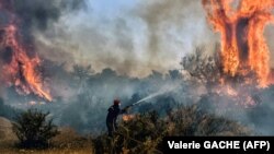 Një zjarrfikës hedh ujë pranë një pylli rreth 70 kilometra larg Athinës, më 18 korrik 2023.