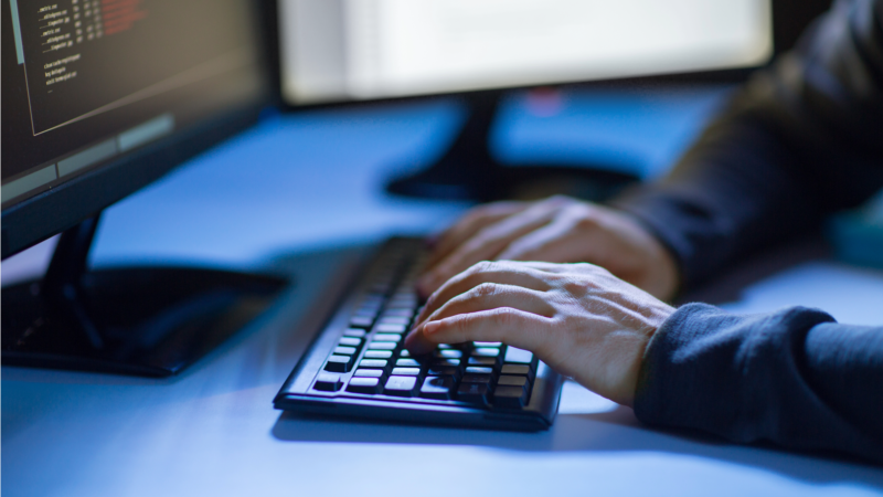 Проект "Идите лесом": Хакеры взломали инфраструктуру разработчика единого реестра воинского учета. Минобороны России отрицает взлом