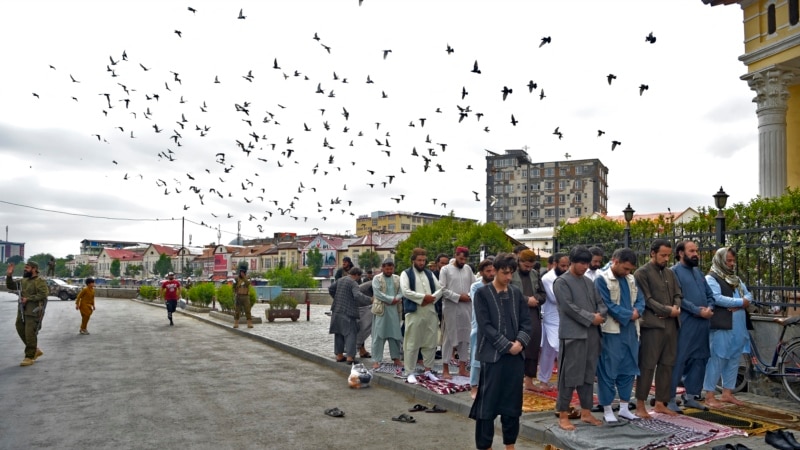 فقر، سیلاب و مشکلات متعدد، عید قربان امسال را در افغانستان کم‌رنگ ساخته است