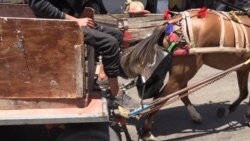 'Konji s manirima': Okolišna inicijativa u Gazi