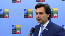 Nicu Popescu, la Vilnius: Mișcarea Ucrainei spre NATO va ajuta R. Moldova să rămână stabilă

