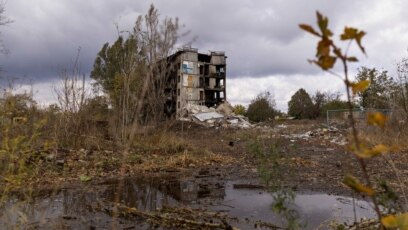 Ръководителката на бюджетната служба на Белия дом Шаланда Йънг предупреди