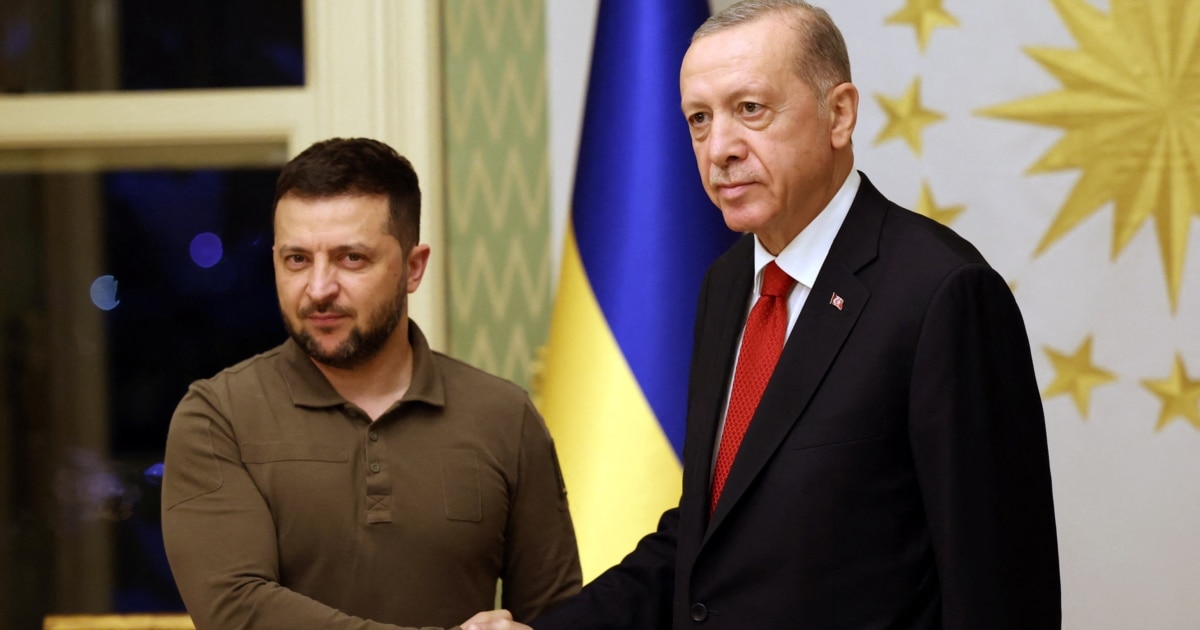 Erdogan Tells Zelenskiy Ukraine Deserves NATO Membership But Should ...