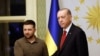 Presidenti ukrainas, Volodymyr Zelensky në takim me Presidentin turk, Rexhep Tajip, Erdogan.