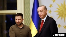 Presidenti ukrainas, Volodymyr Zelensky në takim me Presidentin turk, Rexhep Tajip, Erdogan.