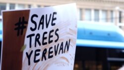 «Կանաչ Երևան». ծառերը կտրեցին, ավարտեցին, ցուցարարները՝ ոտքի ելան