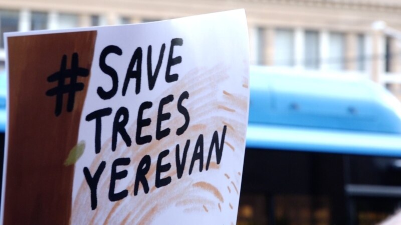 «Կանաչ Երևան». ծառերը կտրեցին, ավարտեցին, ցուցարարները՝ ոտքի ելան