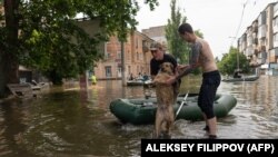 Місцеві жителі несуть собаку під час евакуації із затопленої території в Херсоні 8 червня 2023 року після пошкодження дамби Каховської ГЕС