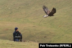 Беркутчи запускает птицу. Алматинская область, 13 октября 2023 года