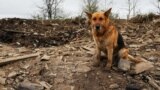 Ввечері 21 вересня війська РФ, за даними українських правоохоронців, двома ракетами «Іскандер» завдали удару по Кураховому. Фото ілюстративне 