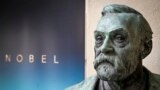 Alfred Nobel mellszobra az orvosi-élettani Nobel-bizottság sajtótájékoztatóját követően a stockholmi Karolinska Intézetben. Az első Nobel-díjakat 1901-ben, öt évvel az alapító halála után adták át. Alfred Nobel, egy XIX. századi svéd üzletember és kémikus hívta életre, aki több mint háromszáz szabadalommal rendelkezett, de azzal vált híressé, hogy feltalálta a dinamitot, és nitroglicerint adott a lőporhoz, ami fokozta a robbanóanyag hatását