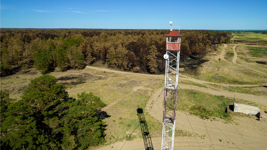 Жыныстық thumbelina