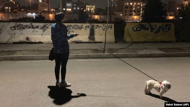 İranlı qadın parkda itini gəzdirir.