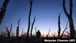 Украинские военнослужащие идут по обугленному лесу на линии фронта в нескольких километрах от Андреевки, Донецкая область. Украина, 16 сентября 2023 года